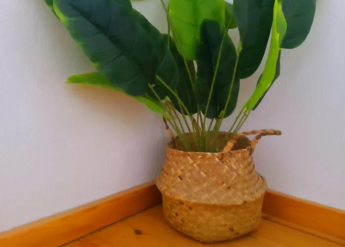 Votsalo Apartamento *